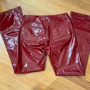 Express Vintage Shiny Jeans
